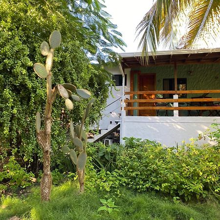 La Peregrina Galapagos B&B Puerto Ayora  Exteriör bild